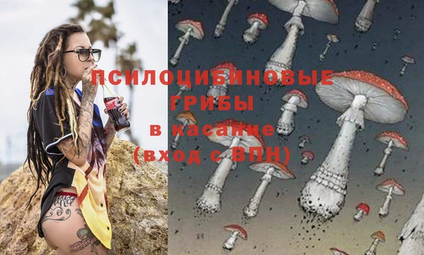бошки Медногорск