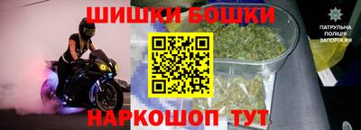 прущие грибы Апшеронск