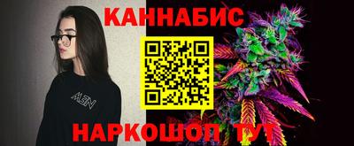 шишки Аргун