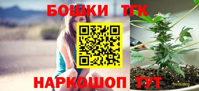 шишки Аргун