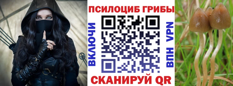 ОМГ ОМГ ONION  закладки  Астрахань  Псилоцибиновые грибы мицелий 