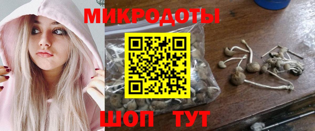 Псилоцибиновые грибы Magic Shrooms  Вход с VPN  Астрахань  Псилоцибиновые грибы Cubensis 