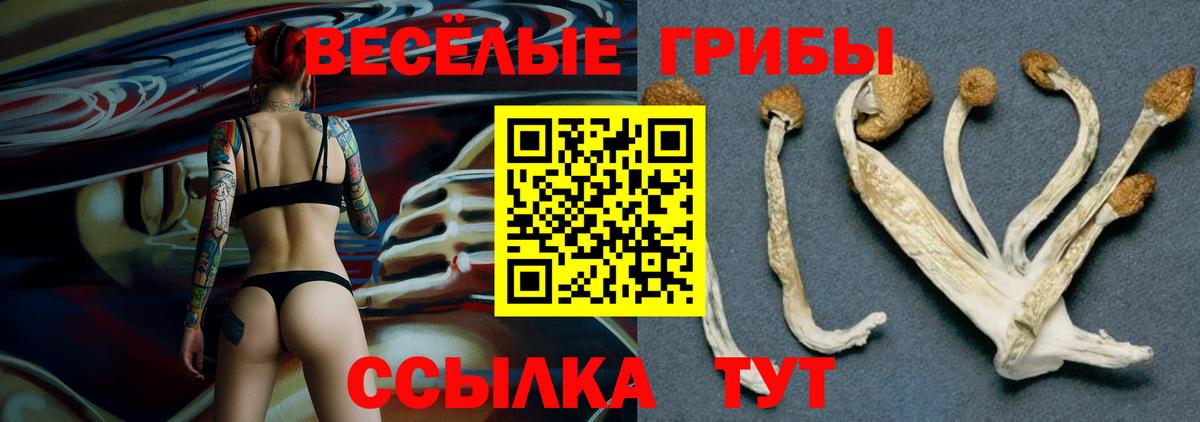 Метадон Астрахань